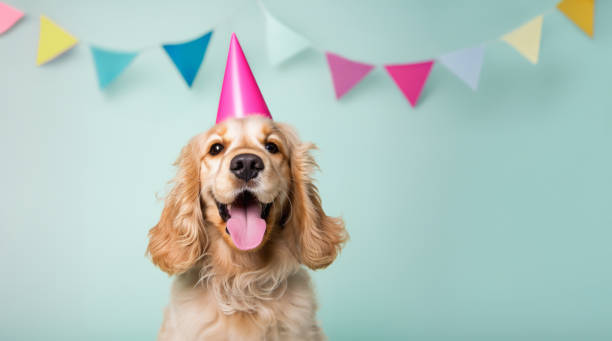 dog birthday party