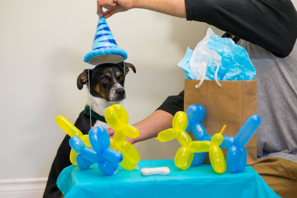 dog party balloon