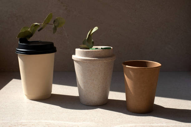Plant-Based Cups