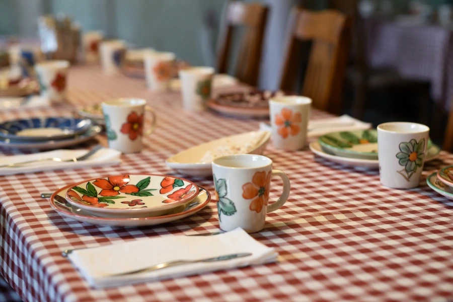 50s diner theme party tableware set