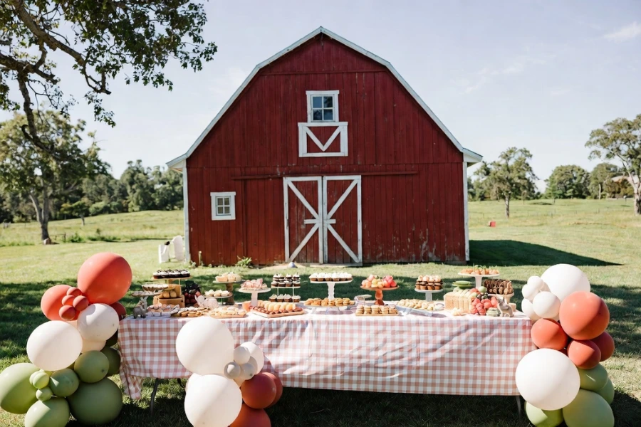 Opstelling verjaardagsfeestje op boerderij met achtergrond van schuur en ballonslinger