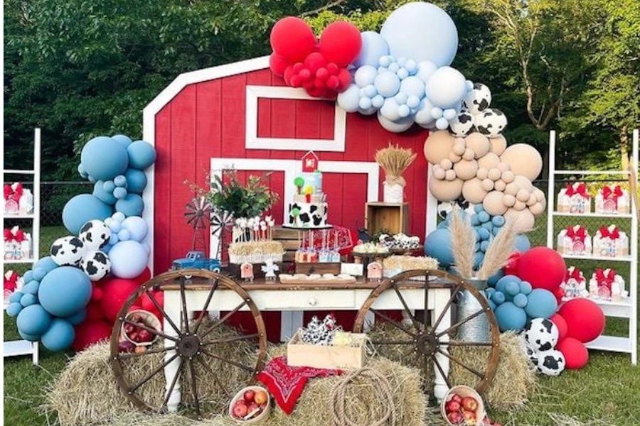 farm themed birthday party decoration set with gingham and barn banner